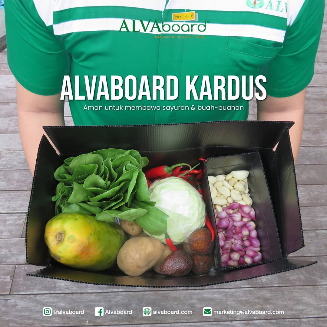 ALVAboard Kardus