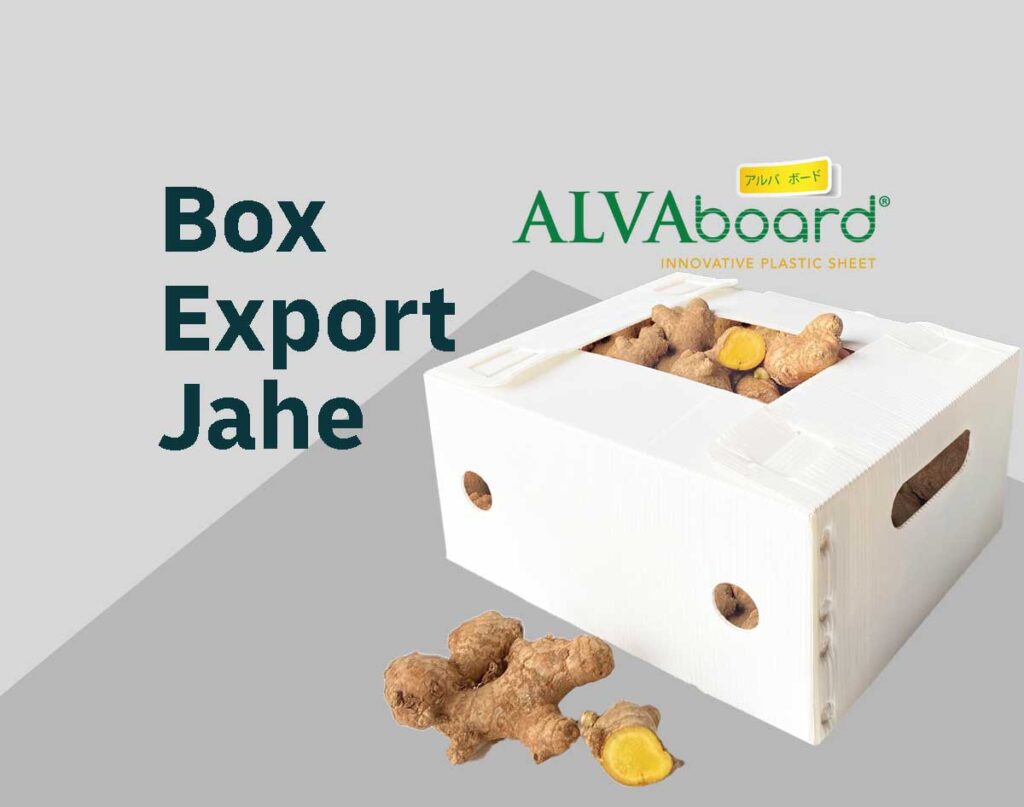 Box Export Jahe