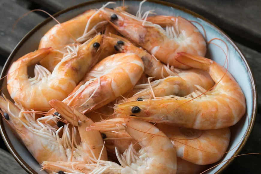Udang laut