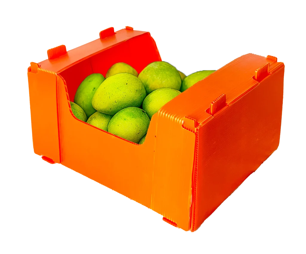 box buah