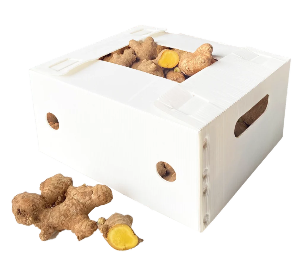 box rempah