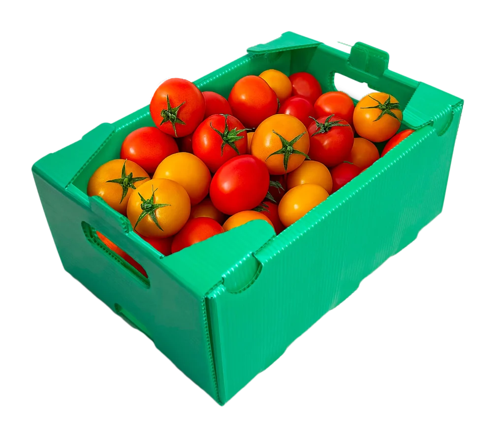 box sayur
