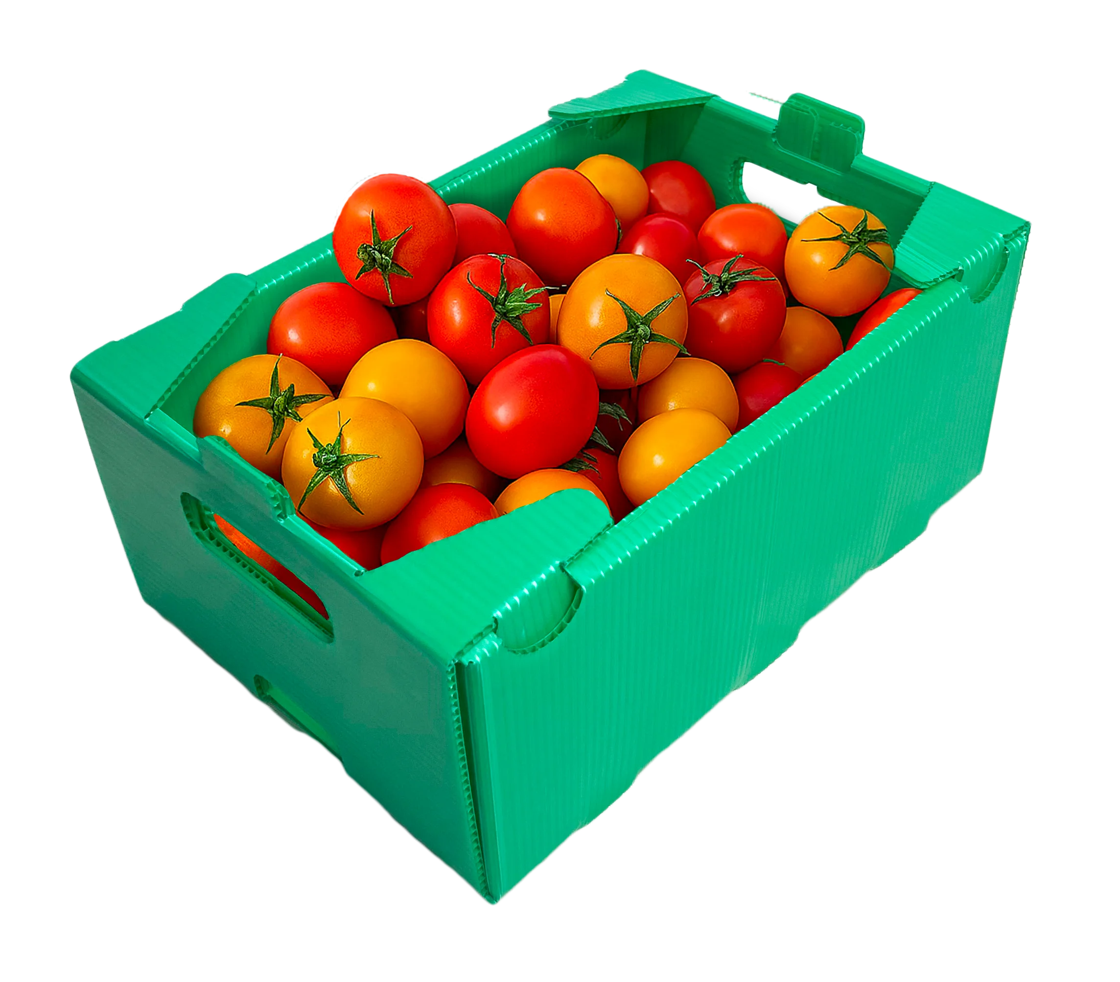 box sayur