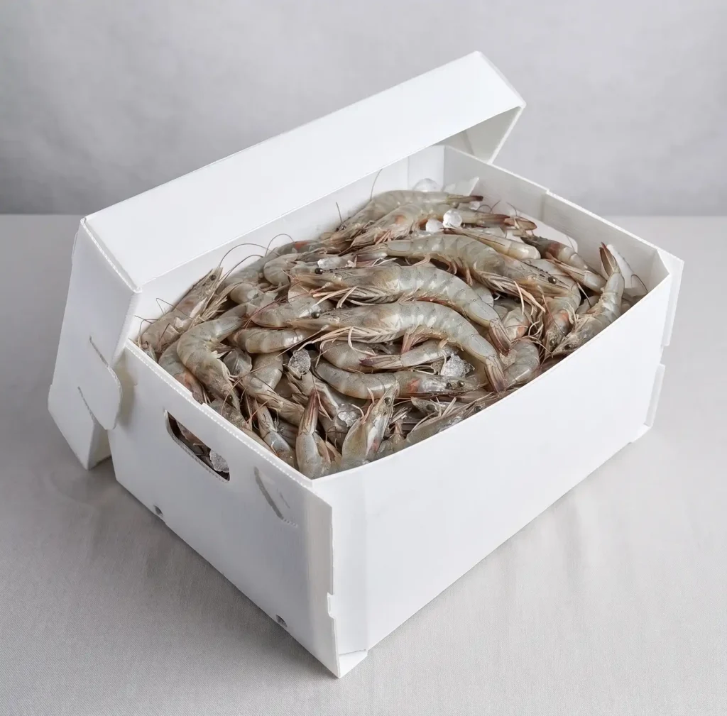 Tampilan box seafood ALVAboard yang kuat, tahan lama, anti air, dan bisa digunakan berulang kali.