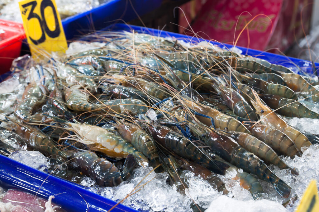 udang tambak