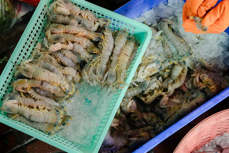 udang di dalam box penyimpanan