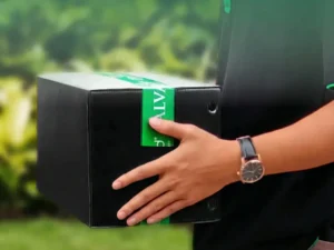 box alvaboard