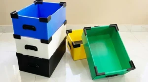 box container serbaguna