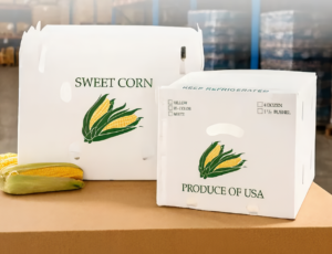 packaging promosi (contoh alvaboard)