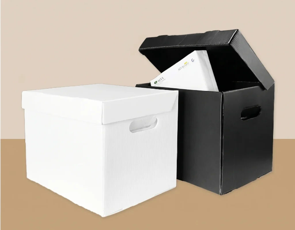 box arsip