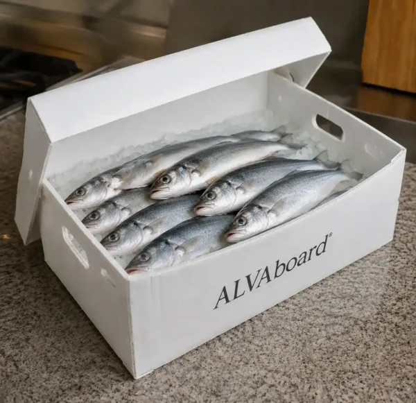kotak ikan