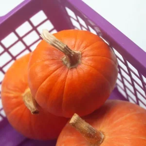 263cc793a8ff79d2087f643d56db5b3198811bc7_result