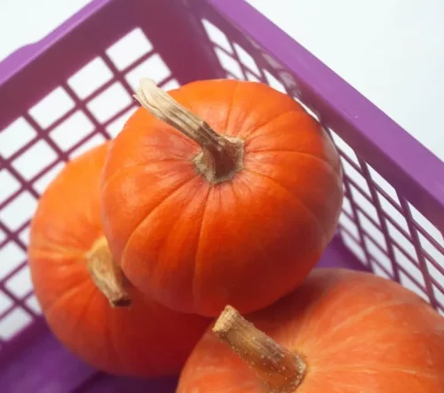 263cc793a8ff79d2087f643d56db5b3198811bc7_result