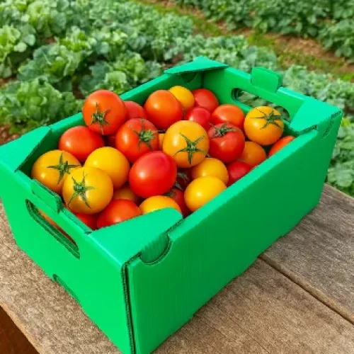 Web-Images-350x442-01_result