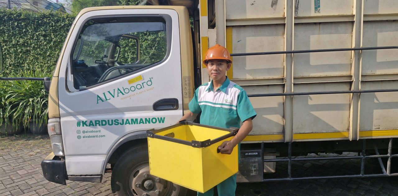 box yang kuat