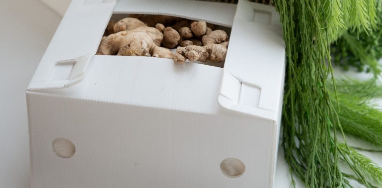 kotak ekspor jahe emprit