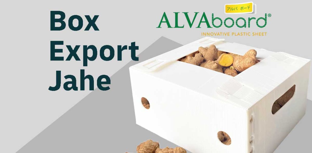 Box Export Jahe