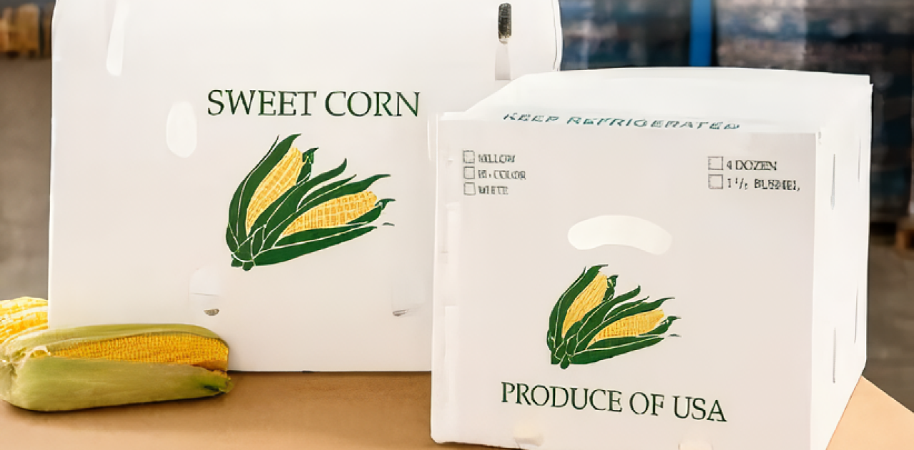 packaging promosi (contoh alvaboard)